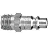 IGS10